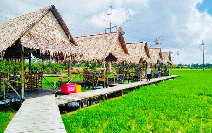 Khoảnh khắc nhà chòi Đồng Tháp rực sáng trong hoàng hôn nhà chòi