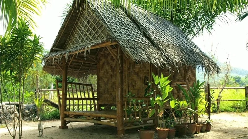 Trải nghiệm câu cá thú vị tại nhà chòi Sóc Trăng