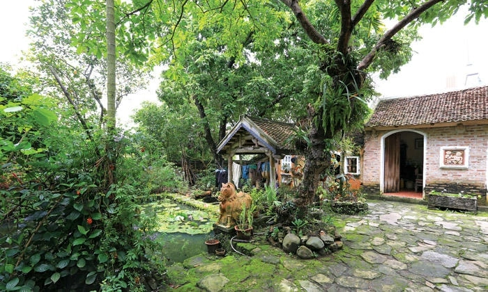 Ngắm bình minh nhà cổ yên tĩnh giữa khung cảnh hoài niệm