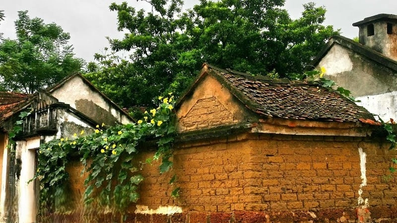 Chiêm ngưỡng Mái ngói Hà Nam đậm chất kiến trúc cổ