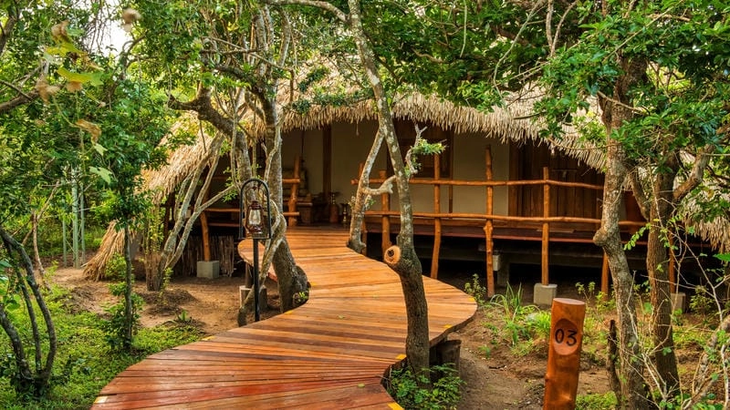 Bình minh nhà lá chiếu sáng mái lá vàng óng ấm áp