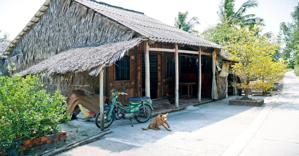 Ảnh nhà lá miền Tây mộc mạc giữa khung cảnh sông nước