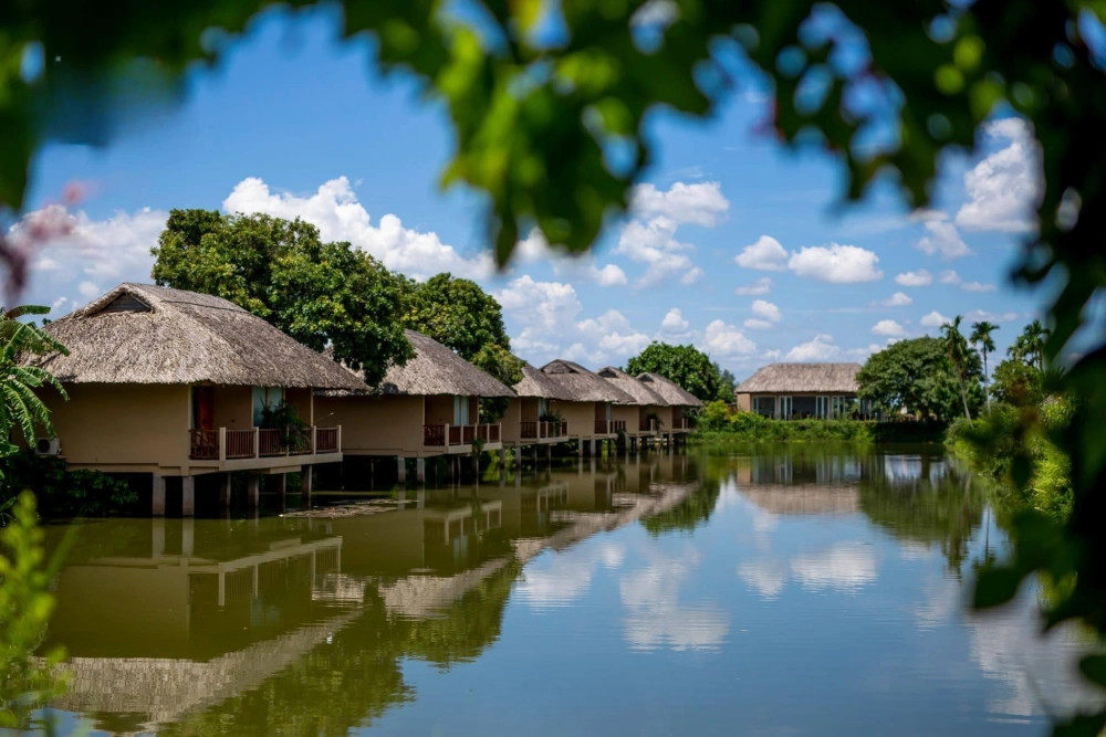 Bình minh nhà lá miền Tây đẹp dịu dàng soi bóng sông nước