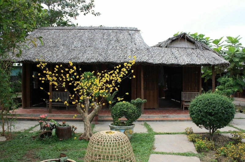 Khám phá ảnh nhà lá Trà Vinh giữa miền sông nước