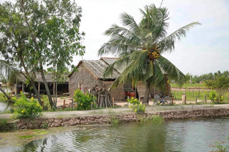 Kênh rạch Trà Vinh hiền hòa ôm lấy nhà lá quê hương