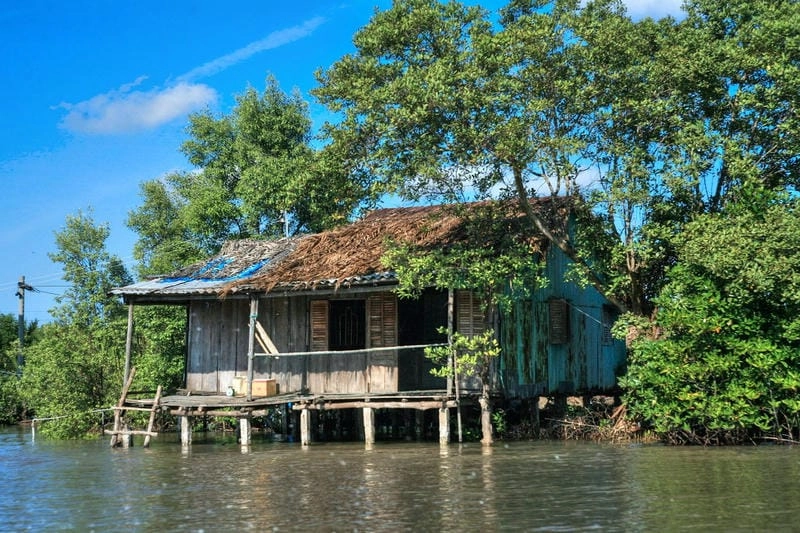 Thưởng thức vẻ đẹp Nhà mái lá Cà Mau qua kiến trúc nhà mái lá tinh tế