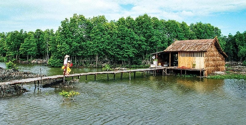 Thả hồn bên Nhà mái lá Cà Mau và nhà mái lá ven sông Cà Mau