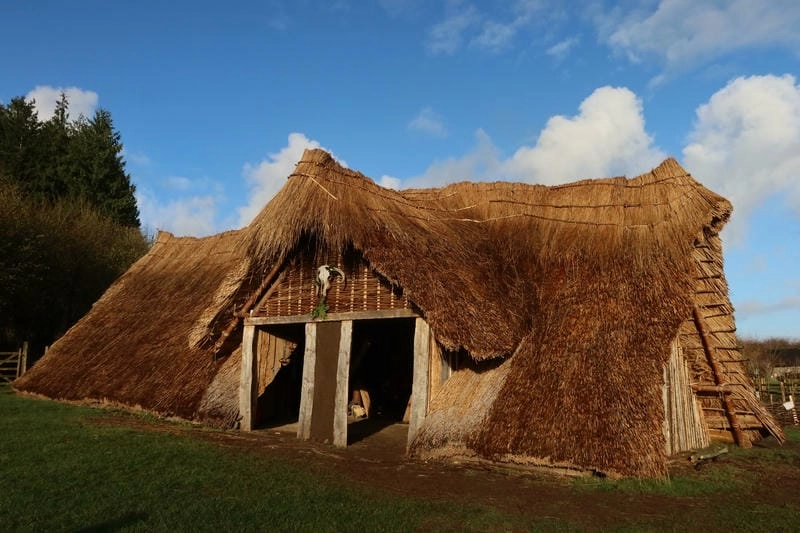 Trải nghiệm mái lá dừa Đồng Tháp mộc mạc gần gũi thiên nhiên