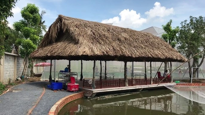 Sân vườn Phú Yên bên nhà mái lá yên bình dưới tán dừa xanh