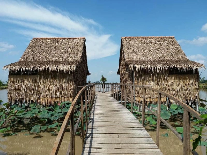 Nhà mái lá Tiền Giang giữa sân vườn xanh mướt mắt