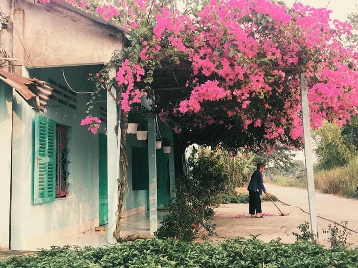 Ấn tượng với nhà mái ngói An Giang sắc đỏ rực rỡ