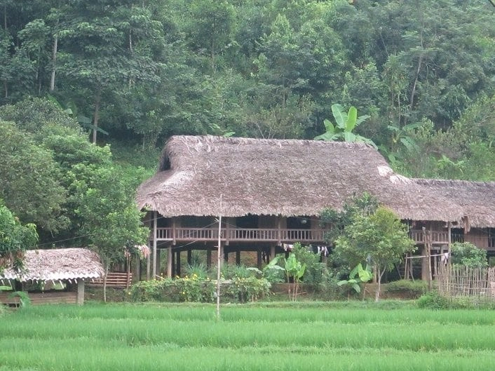 Bình minh nhà sàn Dao yên bình đón nắng sớm giữa núi non xanh