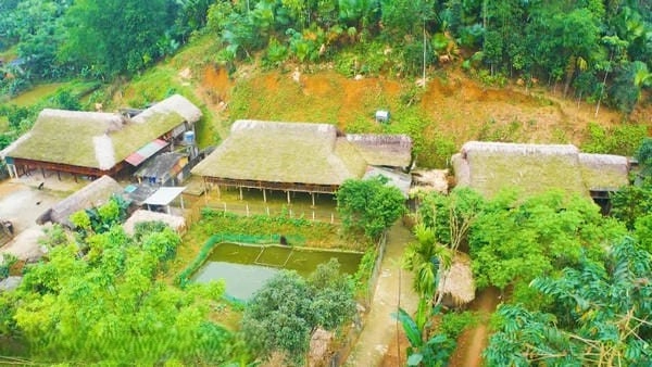 Mái lá Nhà sàn Thái Lào Cai mang đậm hồn quê Bắc bộ