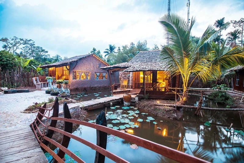 Ngắm Hồ sen Cần Thơ thơ mộng giữa không gian nhà vườn