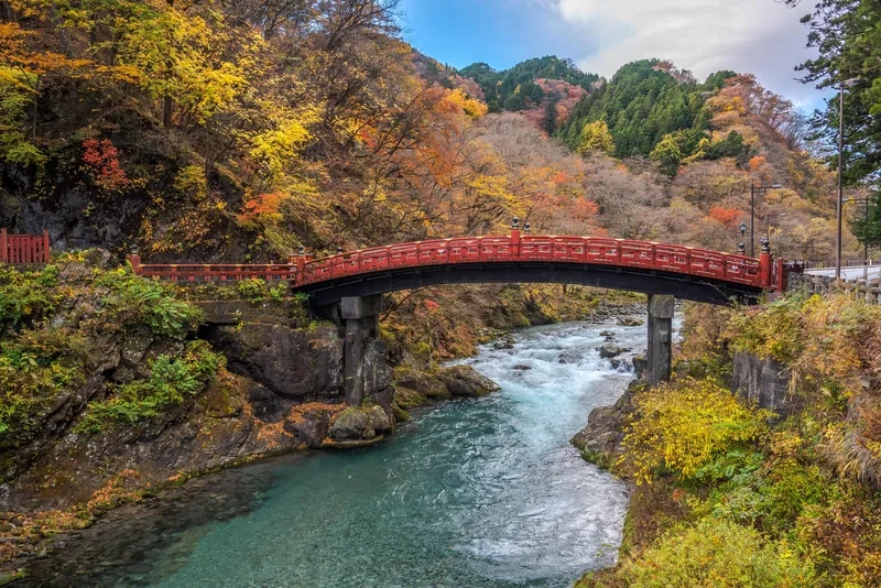 Lịch sử hình thành và phát triển của Nikko