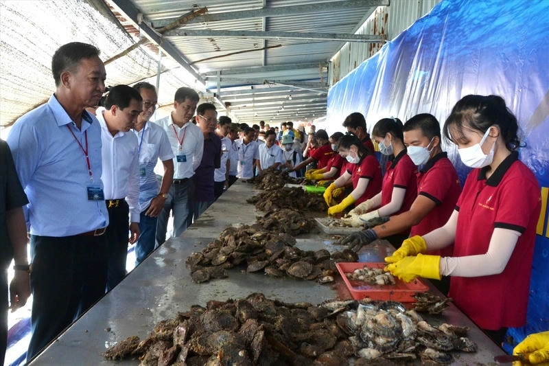 Nông trại ngọc trai Phú Quốc với sản phẩm tinh xảo