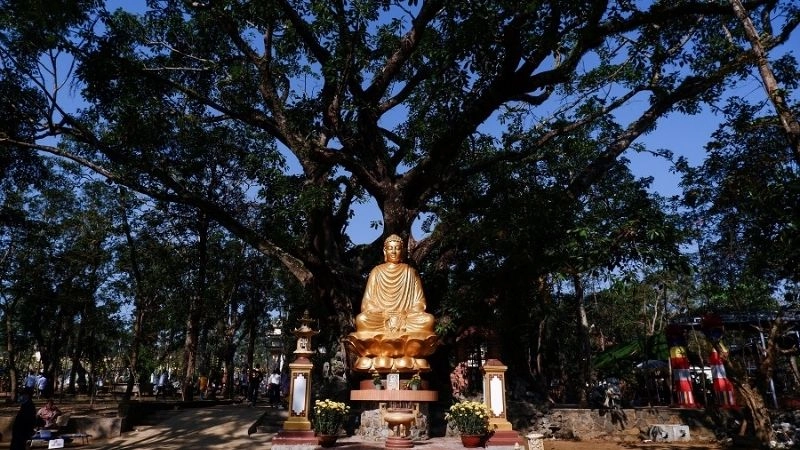 Bình yên Núi Thiên Ấn giữa không gian tĩnh lặng