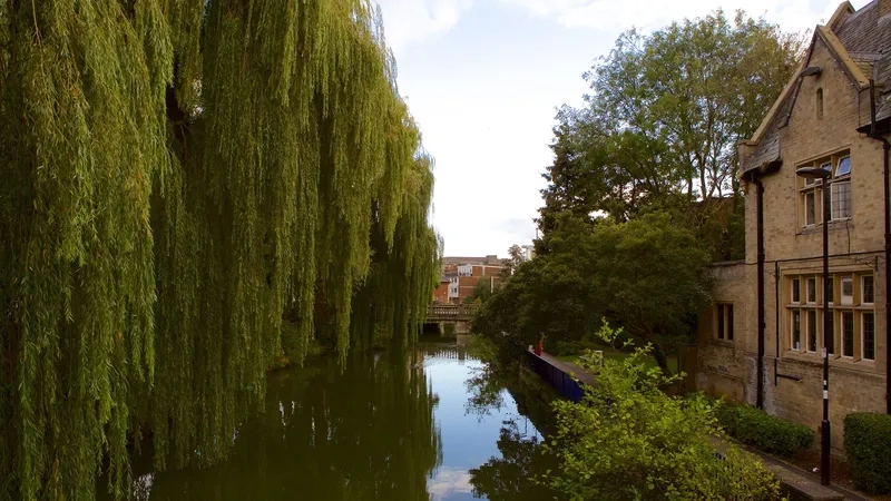 Dòng sông hiền hòa chảy qua trung tâm Oxford
