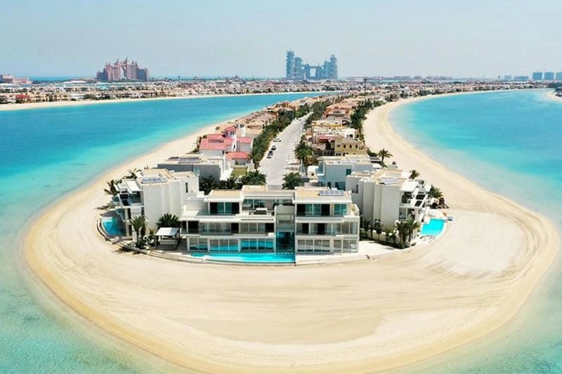 Cây cọ Palm Jumeirah biểu tượng đặc trưng độc đáo