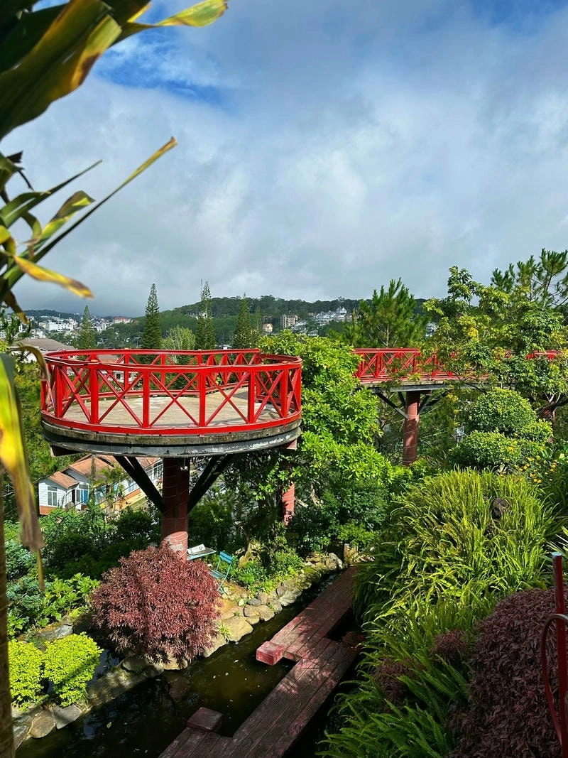 Góc quán cà phê Đà Lạt ngắm cảnh núi non hùng vĩ