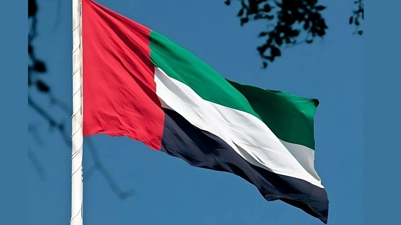 Lịch sử, nguồn gốc ra đời của Quốc kỳ Các Tiểu vương quốc Ả Rập Thống nhất