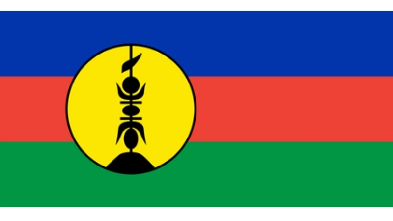 Đặc điểm hình dạng của Quốc kỳ New Caledonia hiện tại