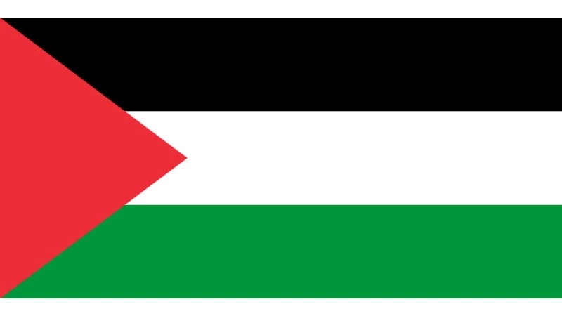 Đặc điểm hình dạng của quốc kỳ Palestine hiện tại