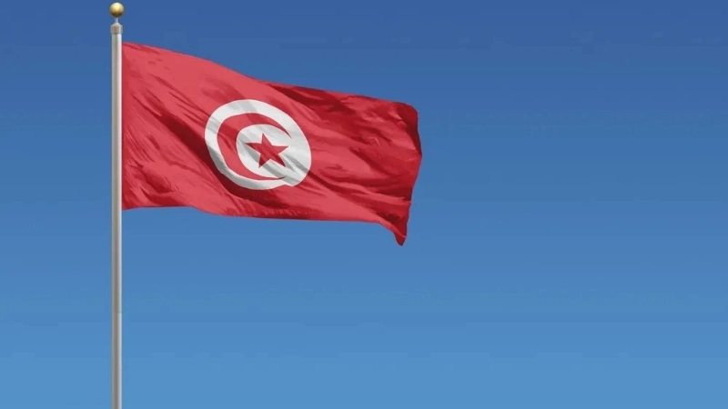 Lịch sử, nguồn gốc ra đời của Quốc kỳ Tunisia