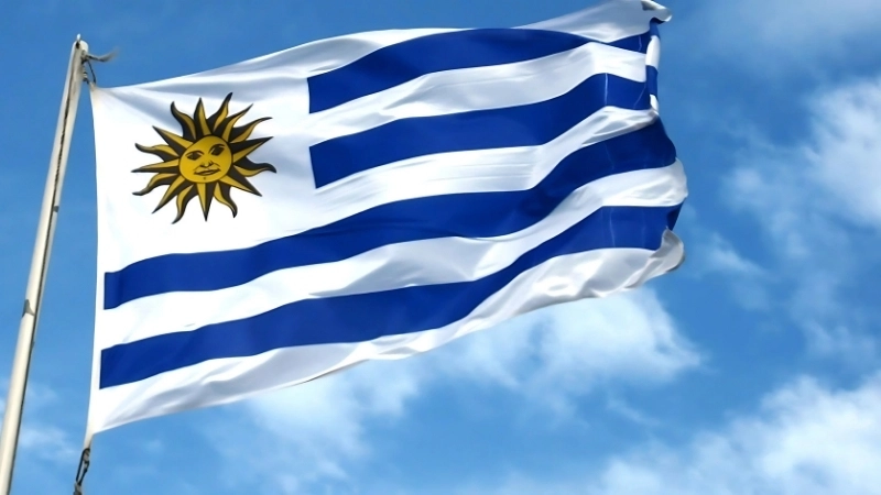 Lịch sử, nguồn gốc ra đời của Quốc kỳ Uruguay