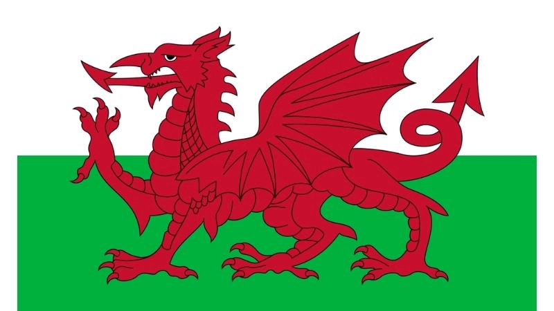 Đặc điểm hình dạng của quốc kỳ Wales hiện tại