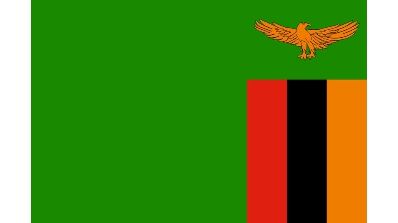 Đặc điểm hình dạng của Quốc kỳ Zambia hiện tại