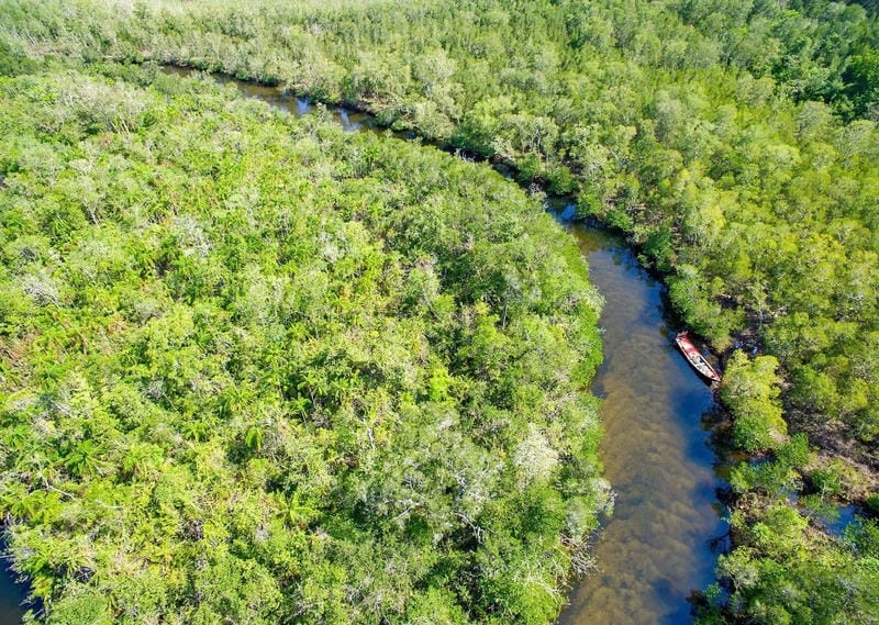 Vẻ hoang sơ của Rừng đặc dụng Đắk Uy Kon Tum