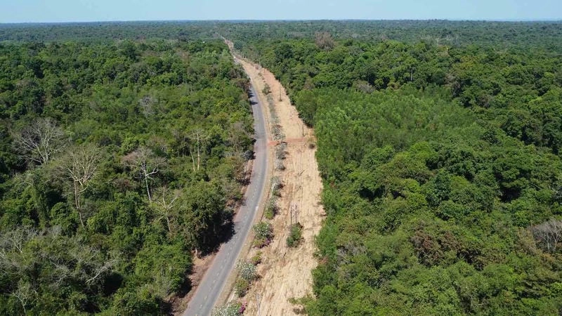 Hơi thở hoang dã trong rừng Đồng Nai