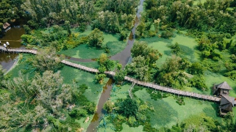 Du lịch An Giang khám phá miền rừng tràm huyền thoại