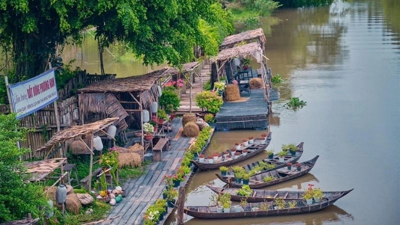 Hệ sinh thái rừng tràm phong phú đa dạng đặc sắc