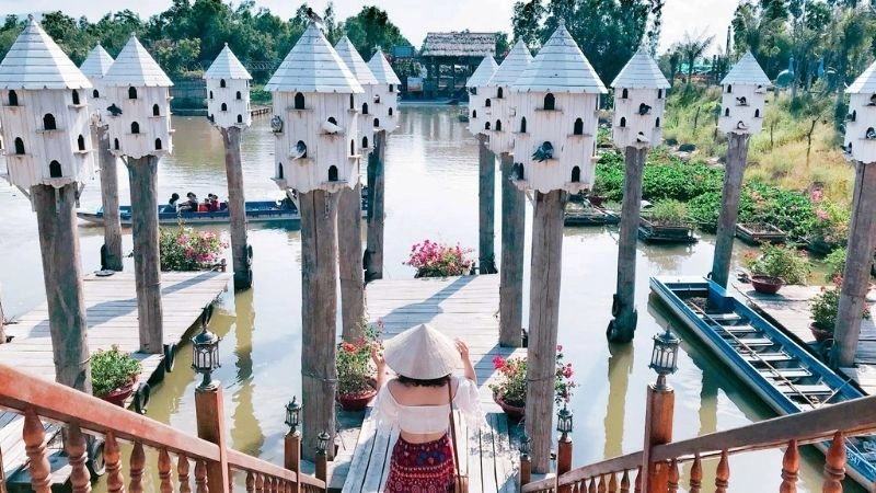 Kinh nghiệm cá nhân khi du ngoạn rừng tràm