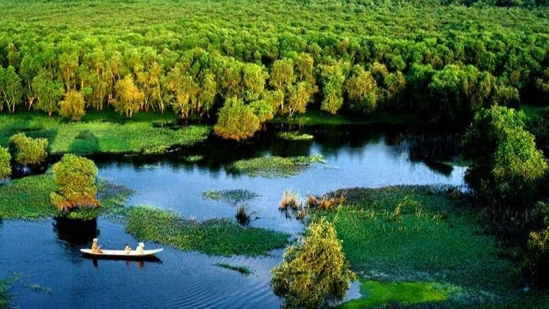 Thiên nhiên Rừng U Minh Hạ trù phú đa dạng sinh vật