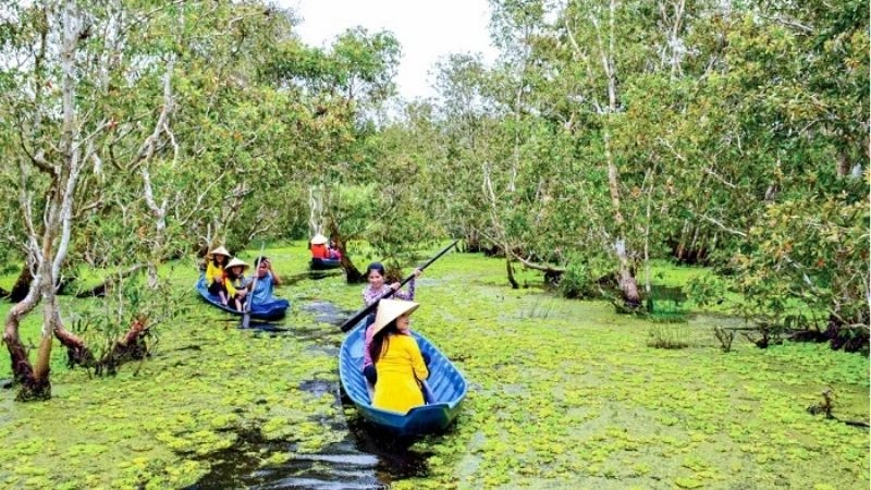 Kinh nghiệm cá nhân khi khám phá rừng U Minh Hạ