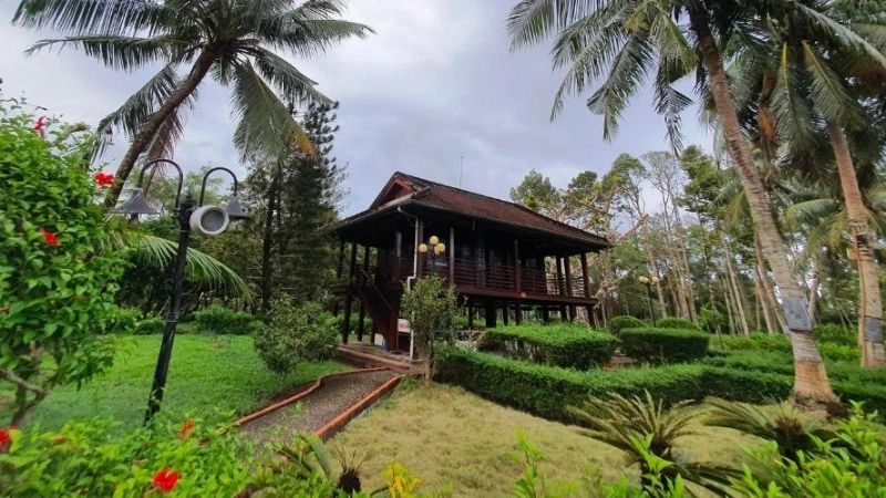 Cảnh quan Sân chim Cà Mau bình yên tuyệt vời