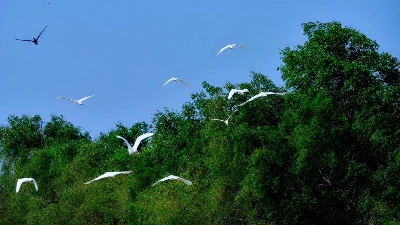 Du lịch Cà Mau trải nghiệm vùng đất sinh thái