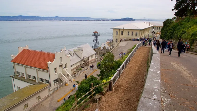 San Francisco là nơi hội tụ văn hóa và nghệ thuật đặc sắc