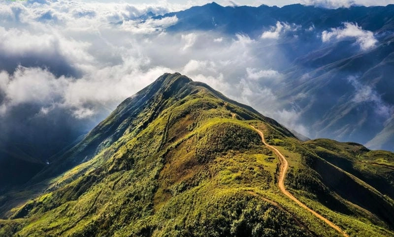 Sống lưng khủng long Tà Xùa huyền thoại