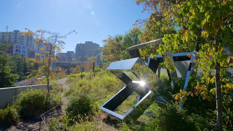 Seattle mang đến những trải nghiệm khó quên cho du khách