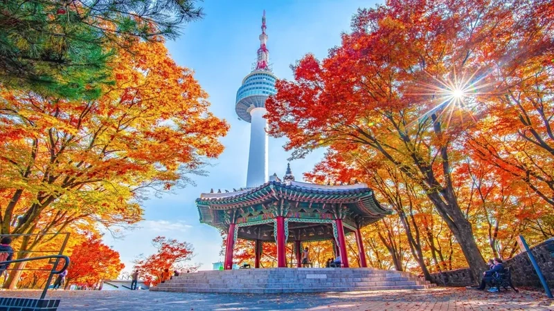 Seoul mang đến những trải nghiệm khó quên