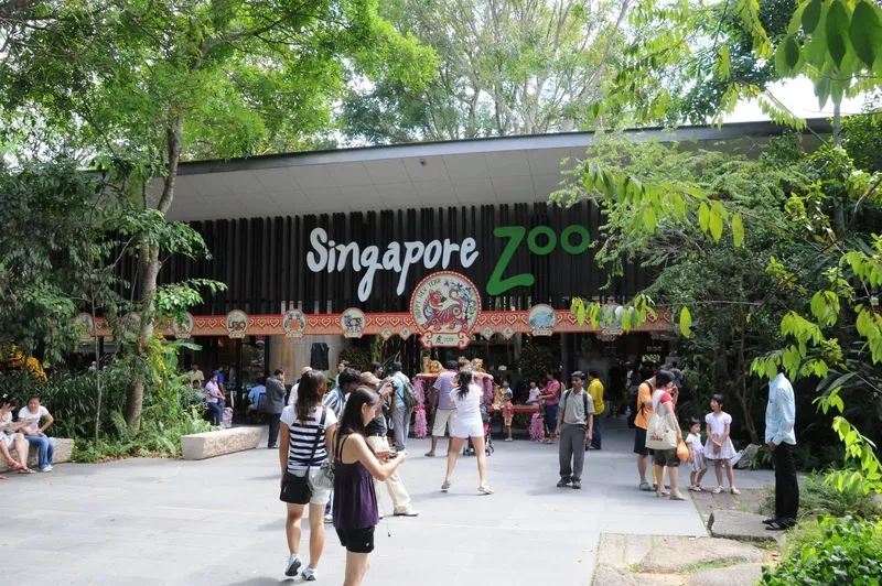 Singapore Zoo mang đến hành trình khám phá thú vị