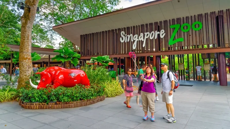 Singapore Zoo nơi hội tụ các loài động vật quý hiếm