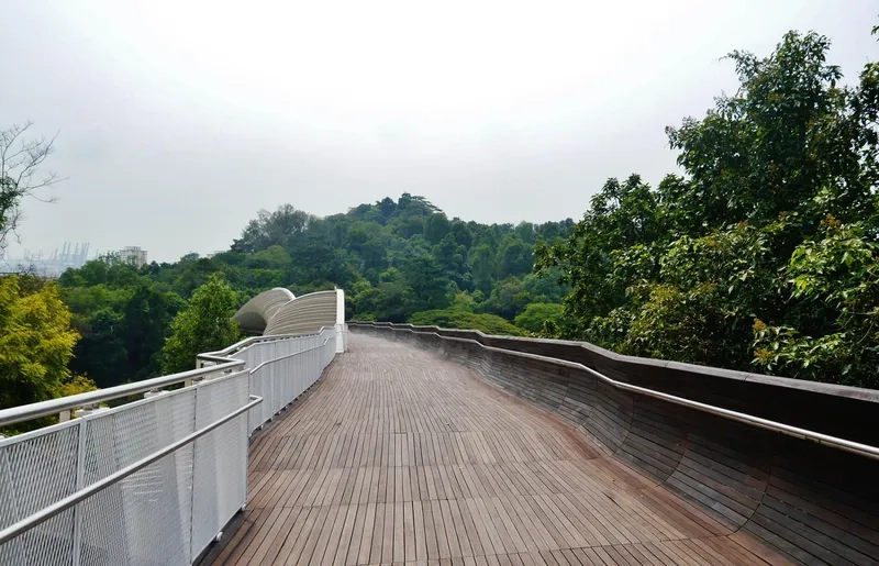 Lịch sử hình thành và phát triển của Southern Ridges