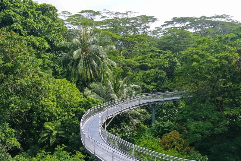 Southern Ridges là điểm đến tuyệt vời để dạo bộ