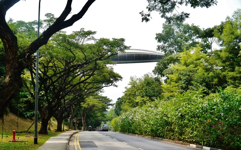 Khám phá thiên nhiên tươi đẹp tại Southern Ridges