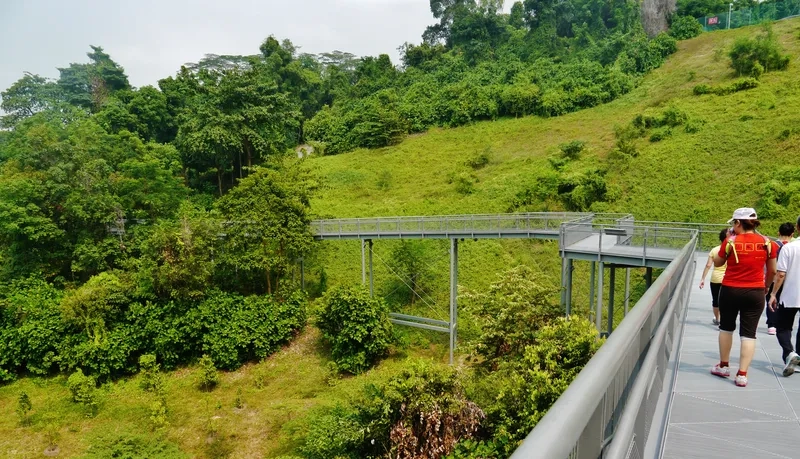 Cảnh sắc tại Southern Ridges khiến ai cũng mê mẩn